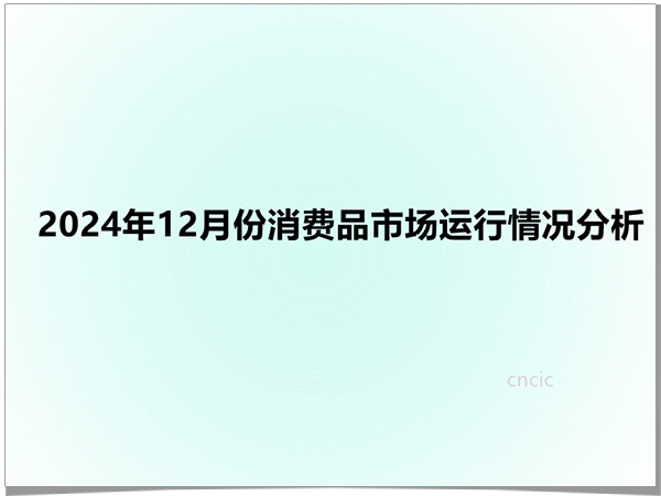 2024年12月份消费品市场运行情况分析